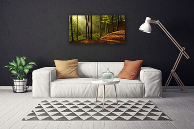 Canvas doek foto Bosbomen nature