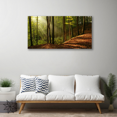 Canvas doek foto Bosbomen nature