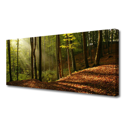 Canvas doek foto Bosbomen nature