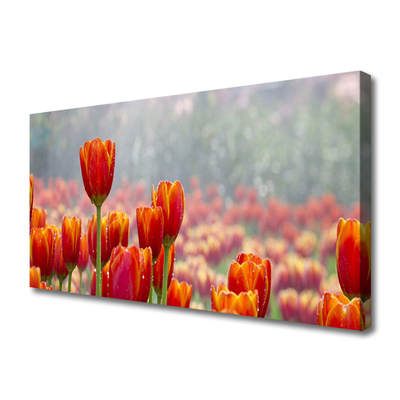 Canvas doek foto Tulpen bloemen plant