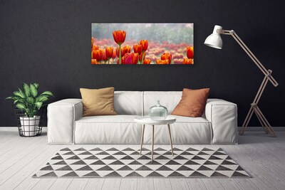 Canvas doek foto Tulpen bloemen plant