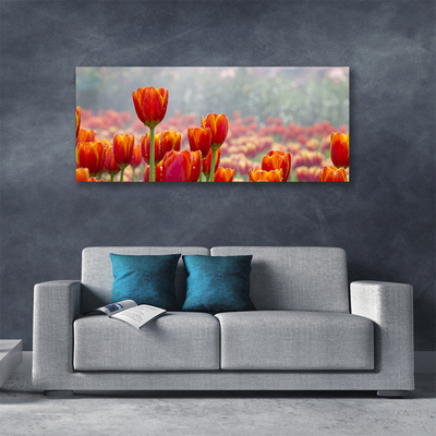 Canvas doek foto Tulpen bloemen plant