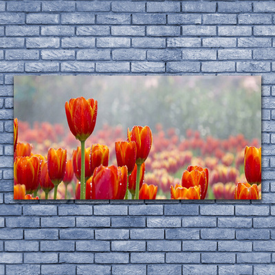 Canvas doek foto Tulpen bloemen plant