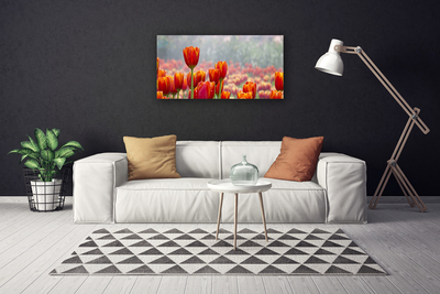 Canvas doek foto Tulpen bloemen plant