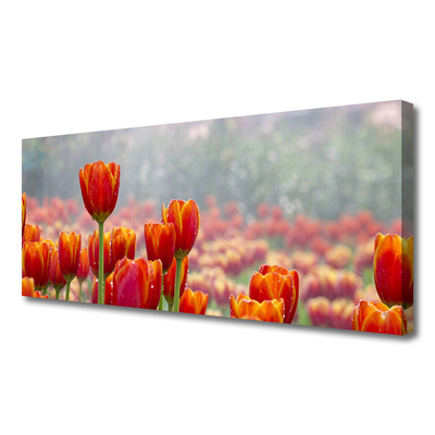 Canvas doek foto Tulpen bloemen plant