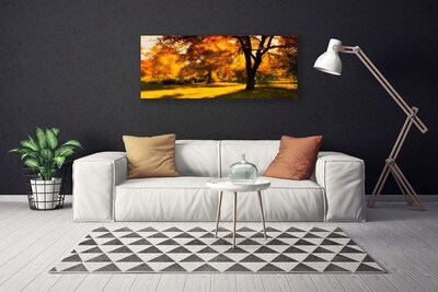 Canvas doek foto Bomen van de herfst natuur