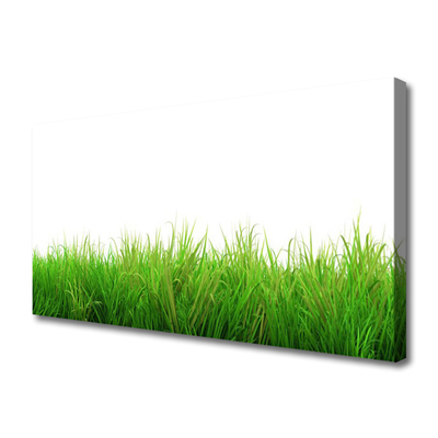 Canvas doek foto Grass nature plant