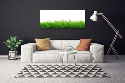 Canvas doek foto Grass nature plant