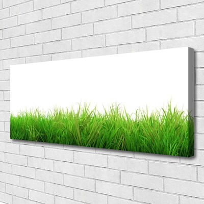 Canvas doek foto Grass nature plant