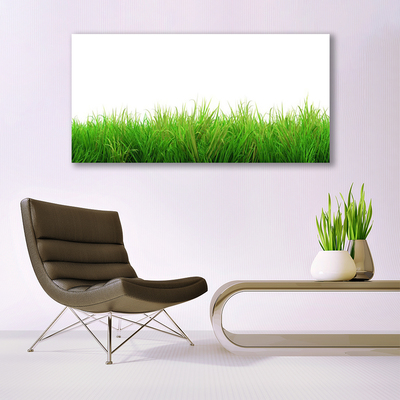 Canvas doek foto Grass nature plant