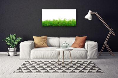 Canvas doek foto Grass nature plant