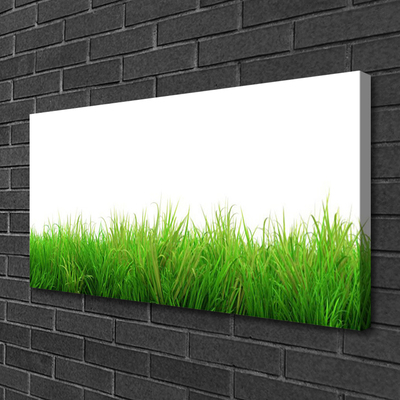 Canvas doek foto Grass nature plant