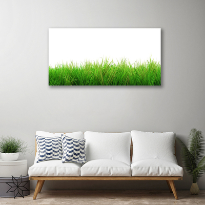 Canvas doek foto Grass nature plant