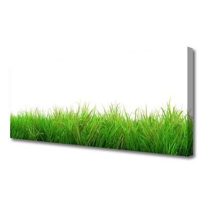 Canvas doek foto Grass nature plant