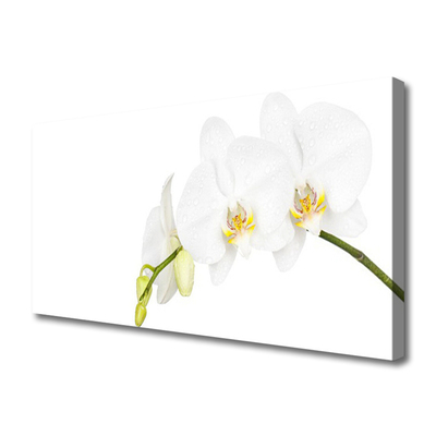 Canvas doek foto Bloemen plant nature