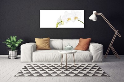 Canvas doek foto Bloemen plant nature