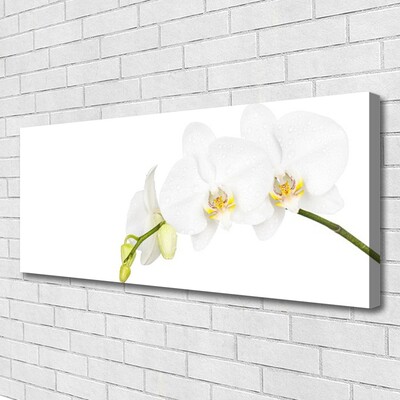 Canvas doek foto Bloemen plant nature