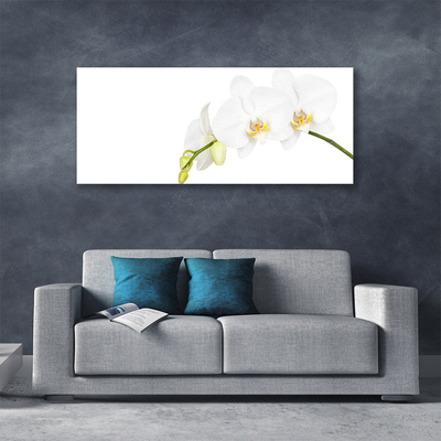 Canvas doek foto Bloemen plant nature