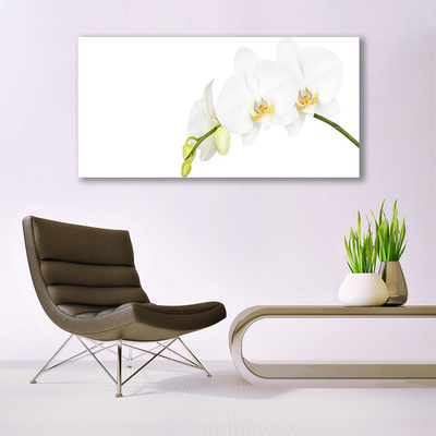 Canvas doek foto Bloemen plant nature