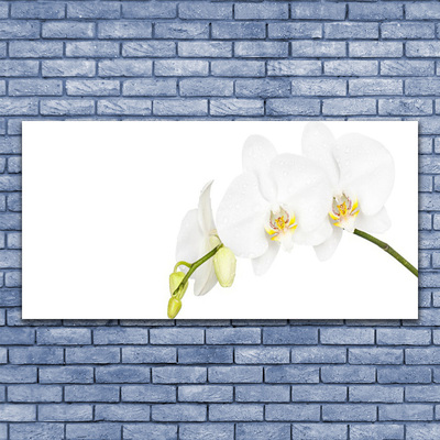 Canvas doek foto Bloemen plant nature