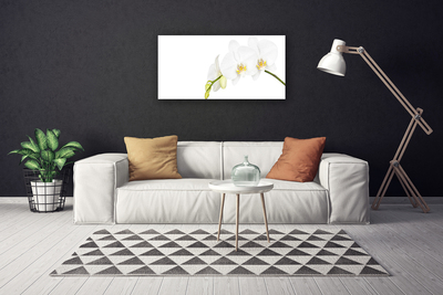 Canvas doek foto Bloemen plant nature