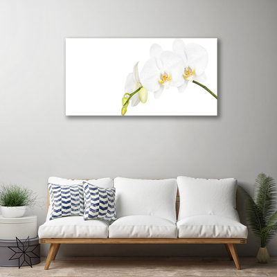 Canvas doek foto Bloemen plant nature