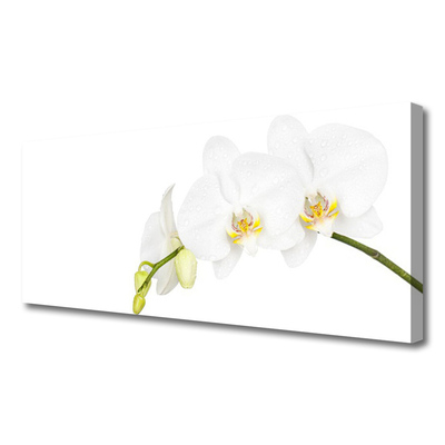 Canvas doek foto Bloemen plant nature