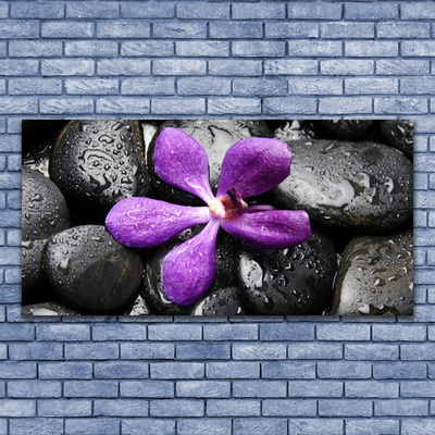 Canvas doek foto Flower stones art