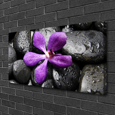 Canvas doek foto Flower stones art