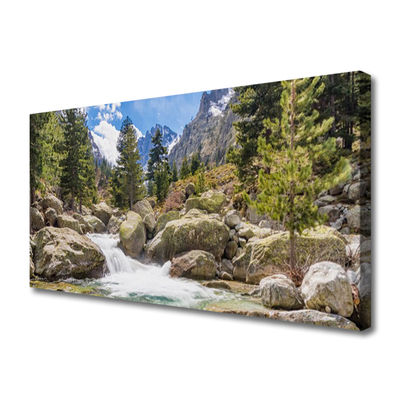 Canvas doek foto Stones river mountain forest