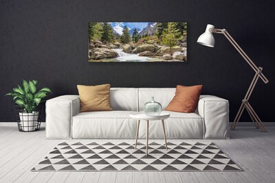 Canvas doek foto Stones river mountain forest