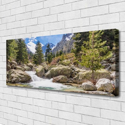 Canvas doek foto Stones river mountain forest