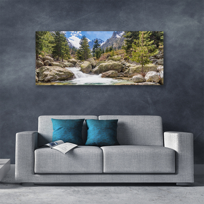 Canvas doek foto Stones river mountain forest