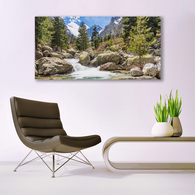 Canvas doek foto Stones river mountain forest