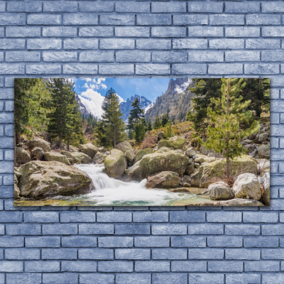 Canvas doek foto Stones river mountain forest