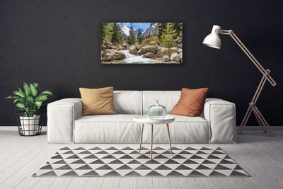 Canvas doek foto Stones river mountain forest