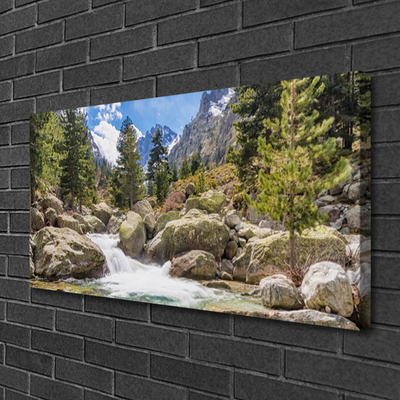 Canvas doek foto Stones river mountain forest