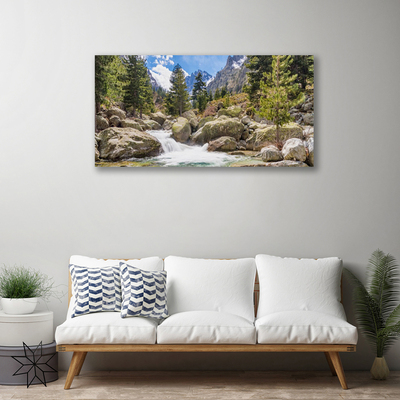 Canvas doek foto Stones river mountain forest