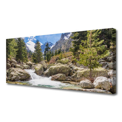 Canvas doek foto Stones river mountain forest