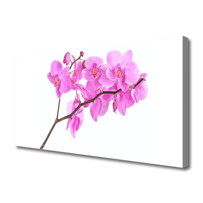 Canvas doek foto Bloemen plant nature