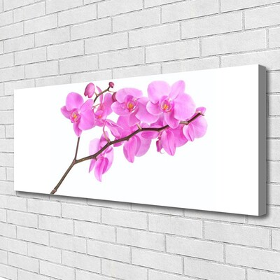 Canvas doek foto Bloemen plant nature