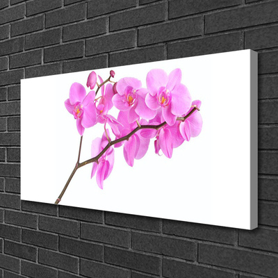 Canvas doek foto Bloemen plant nature