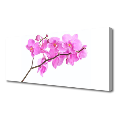 Canvas doek foto Bloemen plant nature