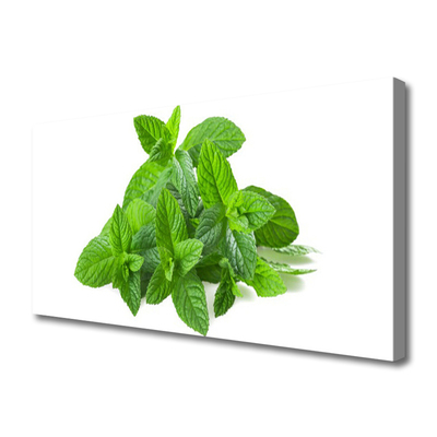 Canvas doek foto Mint plant nature