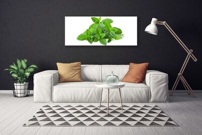 Canvas doek foto Mint plant nature