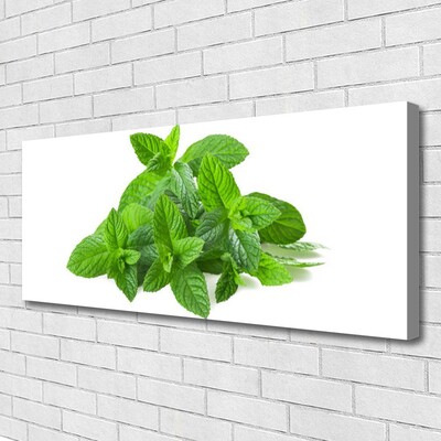 Canvas doek foto Mint plant nature