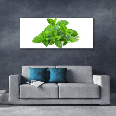 Canvas doek foto Mint plant nature