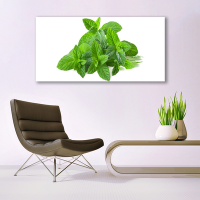 Canvas doek foto Mint plant nature