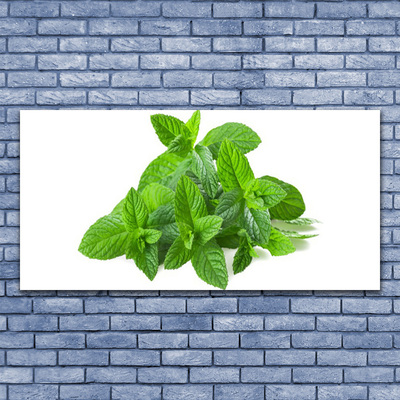 Canvas doek foto Mint plant nature