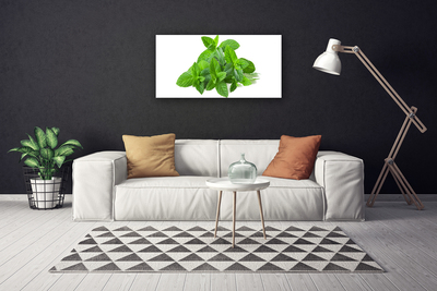 Canvas doek foto Mint plant nature